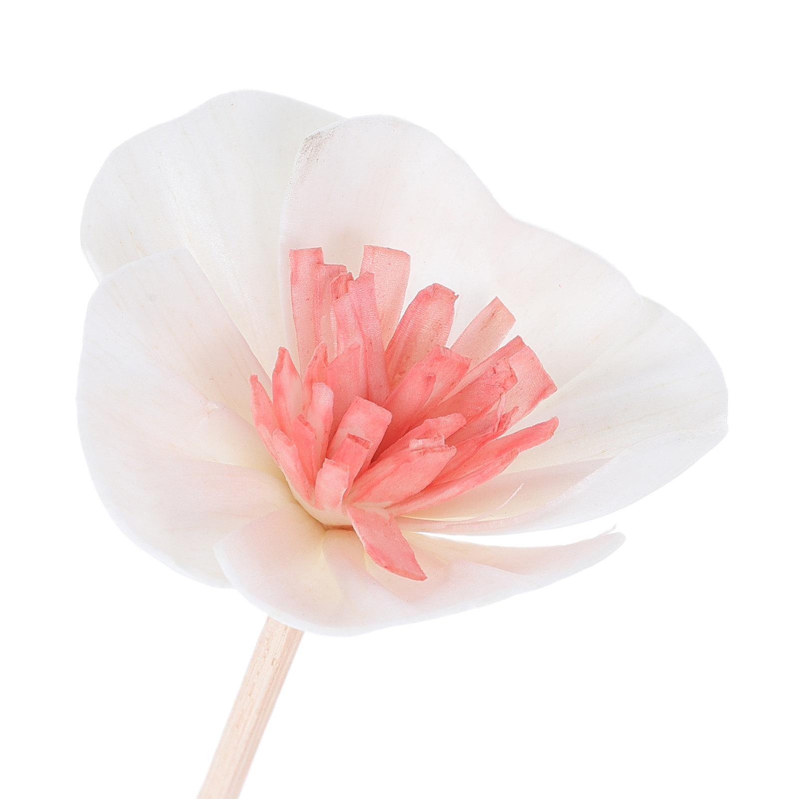 10本入り エッセンシャルオイルディフューザースティック ブ - Home And You Fragrance Diffuser のレビューと価格