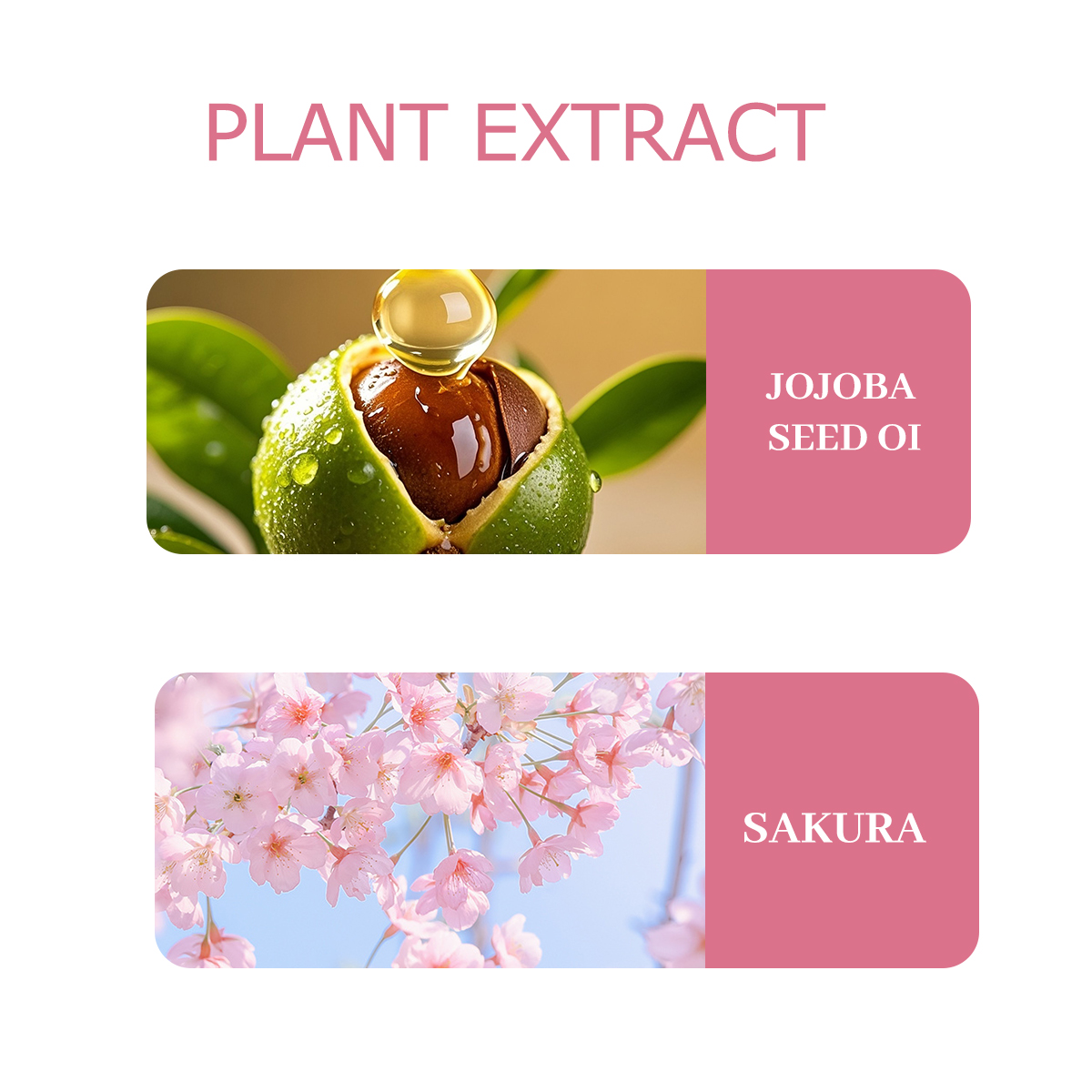 NIVAVIN 30ml/60ml/100ml 桜の花エッセ - Home Fragrance Co のレビューと価格